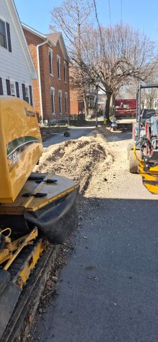 All Photos for Pro Tree Trim & Removal, Llc in Dayton, OH