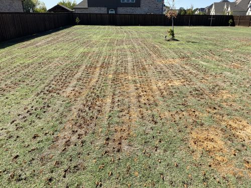 Lawn Aeration for North Texas Groundscaping in Frisco, TX