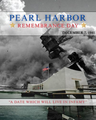  for Advanced Tree Solutions in Rockville, IN