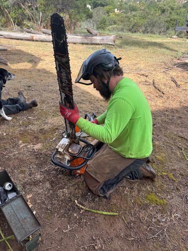 Tree Services for The Tree Fairy in Julian, CA