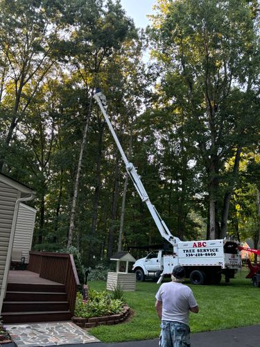 All Photos for ABC Tree Service in Dobson, NC