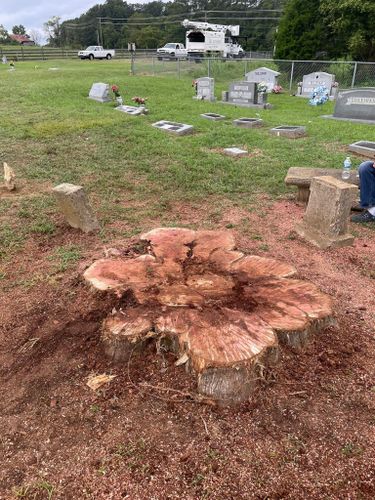  for T&T Lot Works in Kingston Springs, TN