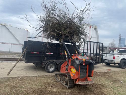 Shrub Trimming for Russell's Lawn Care Plus in Nashville, TN