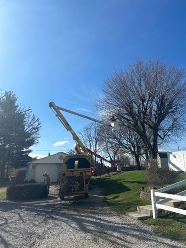 Tree Trimming for SMITHs Tree Service in Columbus, IN