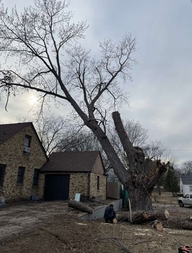 Tree Removal for K and Z Tree Care in Isanti County, MN