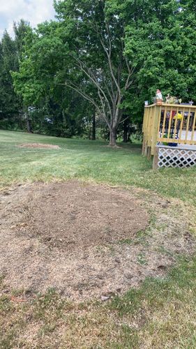 All Photos for Gray's Tree Service  in Shenandoah County, VA