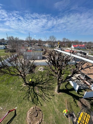 Tree Trimming for SMITHs Tree Service in Columbus, IN