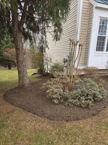 Landscaping for W D Giampa Lawns and Landscape Inc. in Manassas, VA