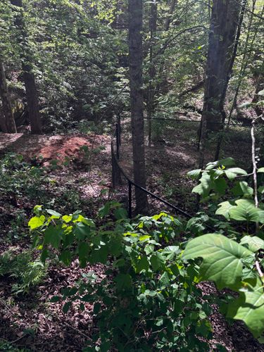 Chainlink Fences for Alpine Fence in Dahlonega, GA