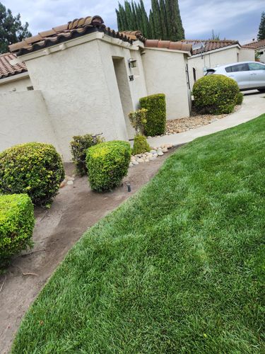  for Vargas LANSCAPE LLC in Stockton, CA