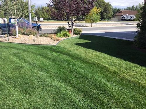  for A+ Lawn and Trees LLC in Cody, WY