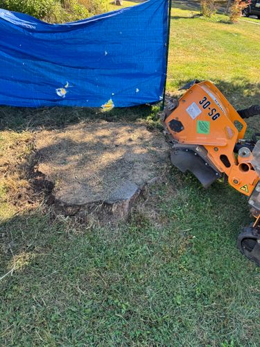 Stump Removal for Jills Stump Grinding and Firewood in Shelton, CT