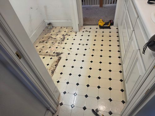All Photos for First Nation Flooring in Sacramento, CA
