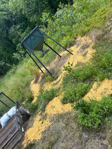 Feeder Maintenance for Two Young Bucks in Leon, IA