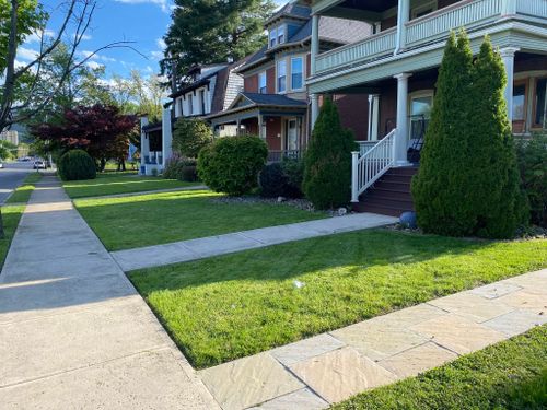  for Saul’s Landscaping Services in Williamsport, PA