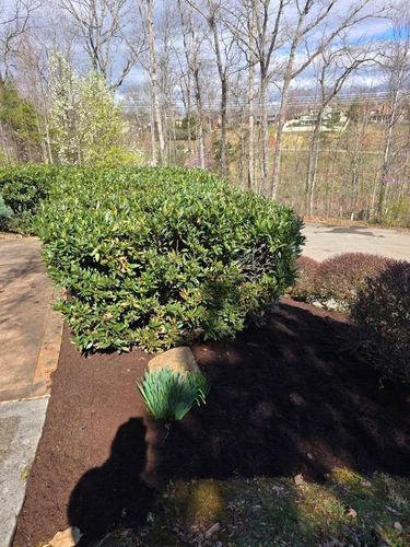  for Williams Lawn and Land in Sharps Chapel, TN