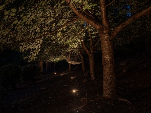 All Photos for Unique Outdoor Lighting in Short Hills, NJ