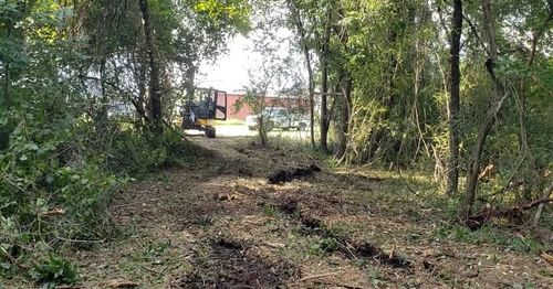  for TJ Farm and Land Management in Loris, SC