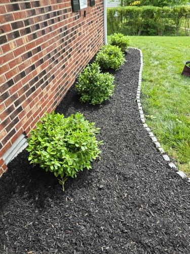 Mulch Installation for Optimum Tree Service And Landscaping in Bowling Green, KY