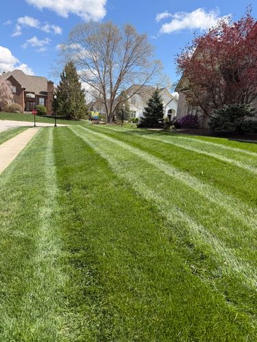 Lawn Care and Maintenance for Sneed & Co LLC in Kokomo, IN