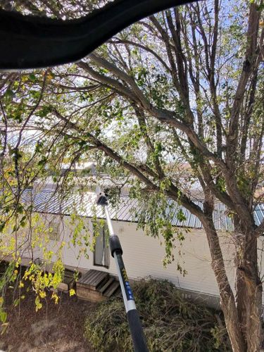 Tree Trimming for Elevated Tree Care in Gillette, WY