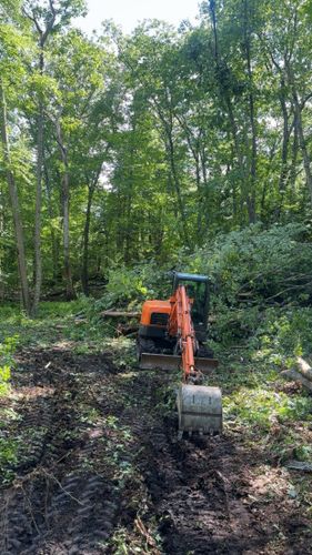 Land Clearing for Davis Services  in Bethany, CT