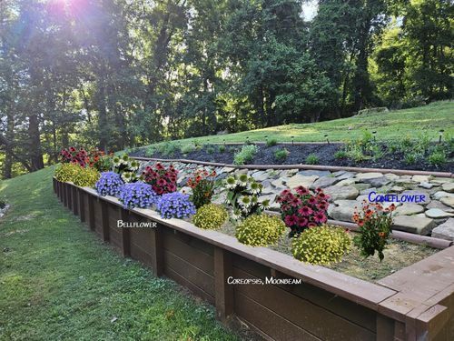Garden and Planting Plans for Simply Natural Landscape in Abingdon, VA