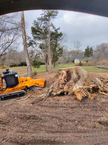  for Darbie's Tree Service in Newburg,  MD