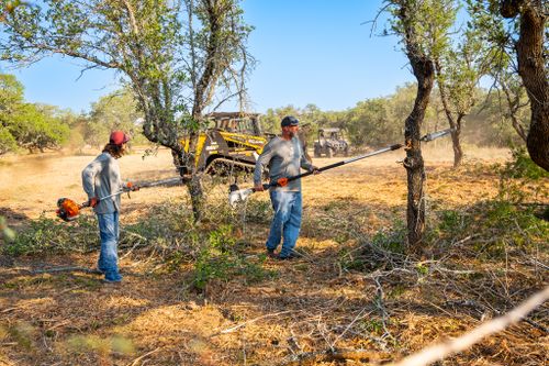 Tree Trimming & Removal for 512 Land Clearing in Blanco County, TX