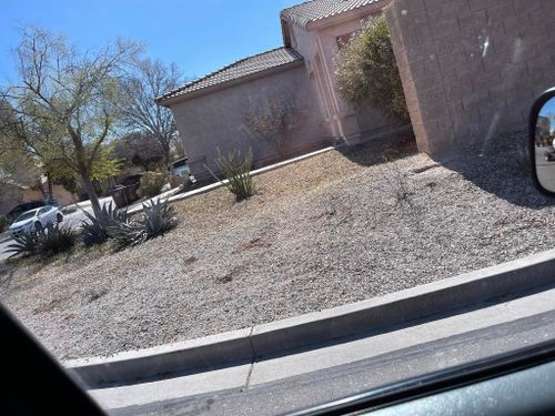 Weed Control for Vaquero X Landscape LLC in Queen Creek, AZ