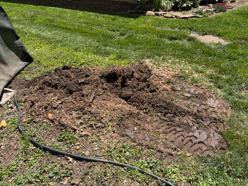 Stump Removal for Conrad's Stump Removal in Columbus, IN
