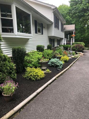 Plant and Tree Installs for Morning Dew Landscaping and Irrigation Services in  Marlboro, NY