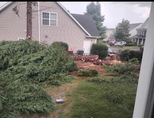 Tree Trimming for All Tree Property Services in Charlotte, NC