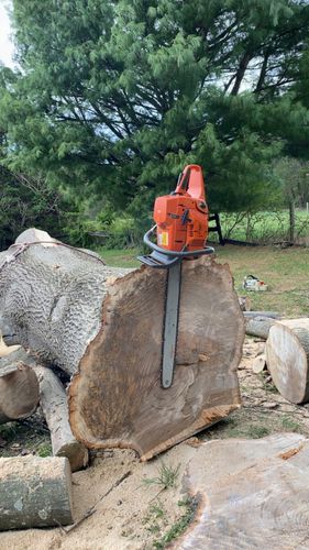 All Photos for Gray's Tree Service  in Shenandoah County, VA