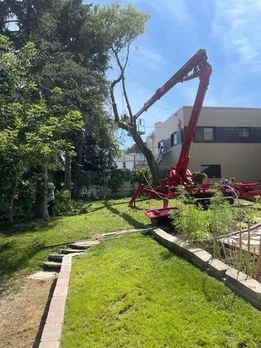 Tree Removal for Oakwood Tree Removal LLC in Oak Creek,  WI