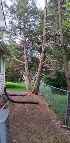  for Lawn Ranger Yard And Tree Service LLC in Ottumwa, IA