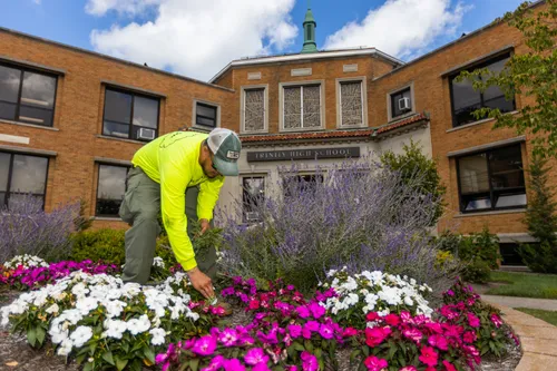 Landscape Maintenance for Thomas' Lawn Care in Maryville, MO