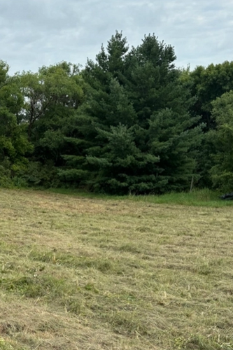  for Root Land Management in Watkins, MN