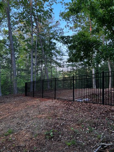 Aluminum Fences for Alpine Fence in Dahlonega, GA