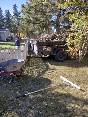  for Dan's tree service in Bemidji, MN