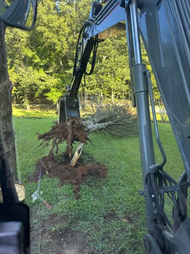  for ArborMax in Thomaston, GA