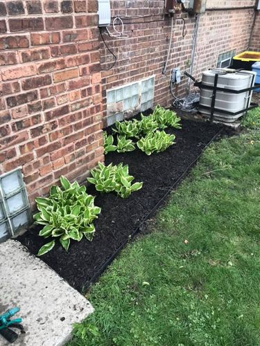 Mulch Installation for Superior Lawn Care & Snow Removal LLC  in Chicago, IL