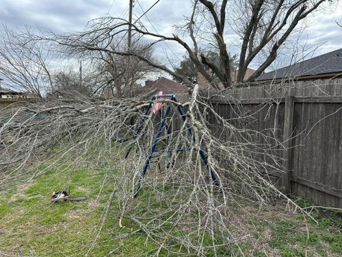 Mowing for Allen Lawn Care in Taylor, Texas