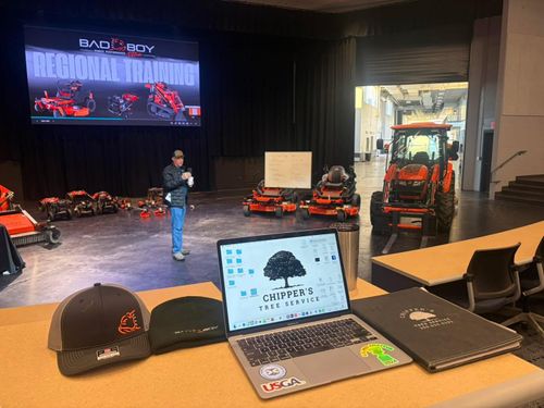 Tree Removal for Chipper's Tree Service  in Fort Payne, AL