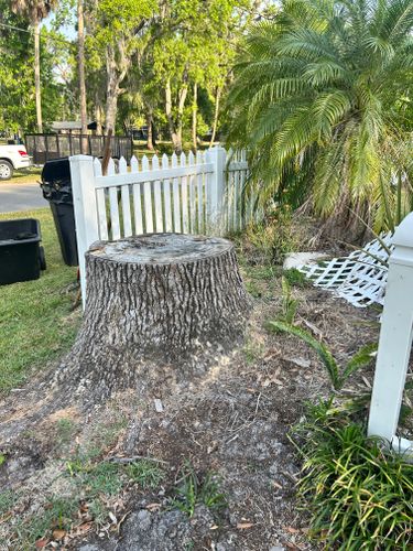  for Greene Acres Stump Grinding in Plant City, FL