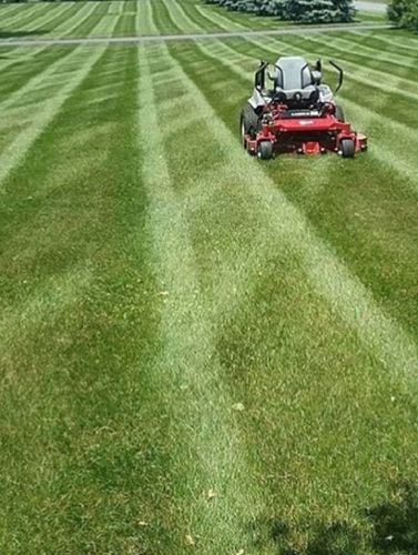 Landscaping services for J&A Grading Services LLC   in Benson, NC