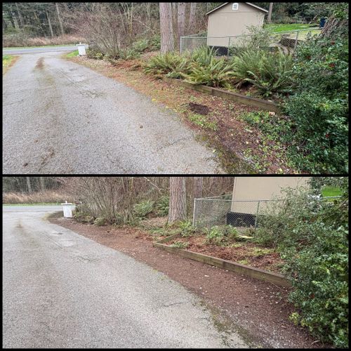 Brush Clearing - Bramble Clearing - Blackberry Clearing for Golovin Property Services LLC in Marysville, WA