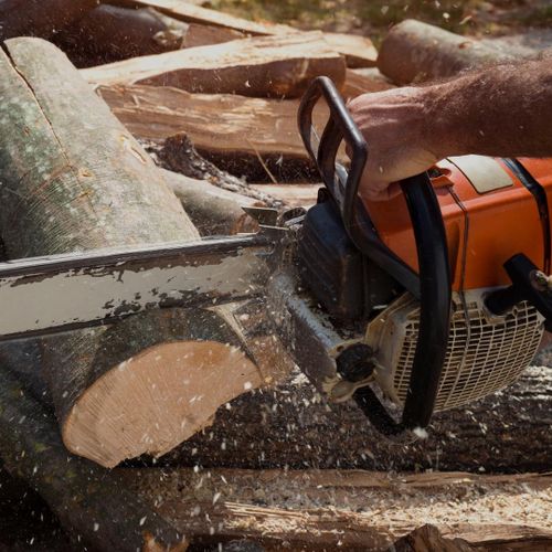  for Oakwood Tree Removal LLC in Oak Creek,  WI