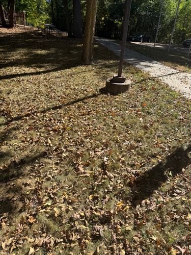  for Perfect Lawn Solutions LLC in Marshall, WI