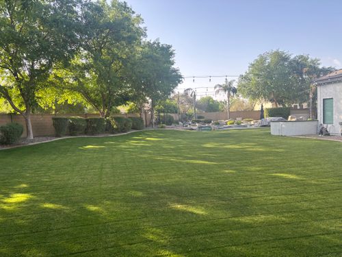 Mowing for Revolution Landscape Construction in Mesa, AZ